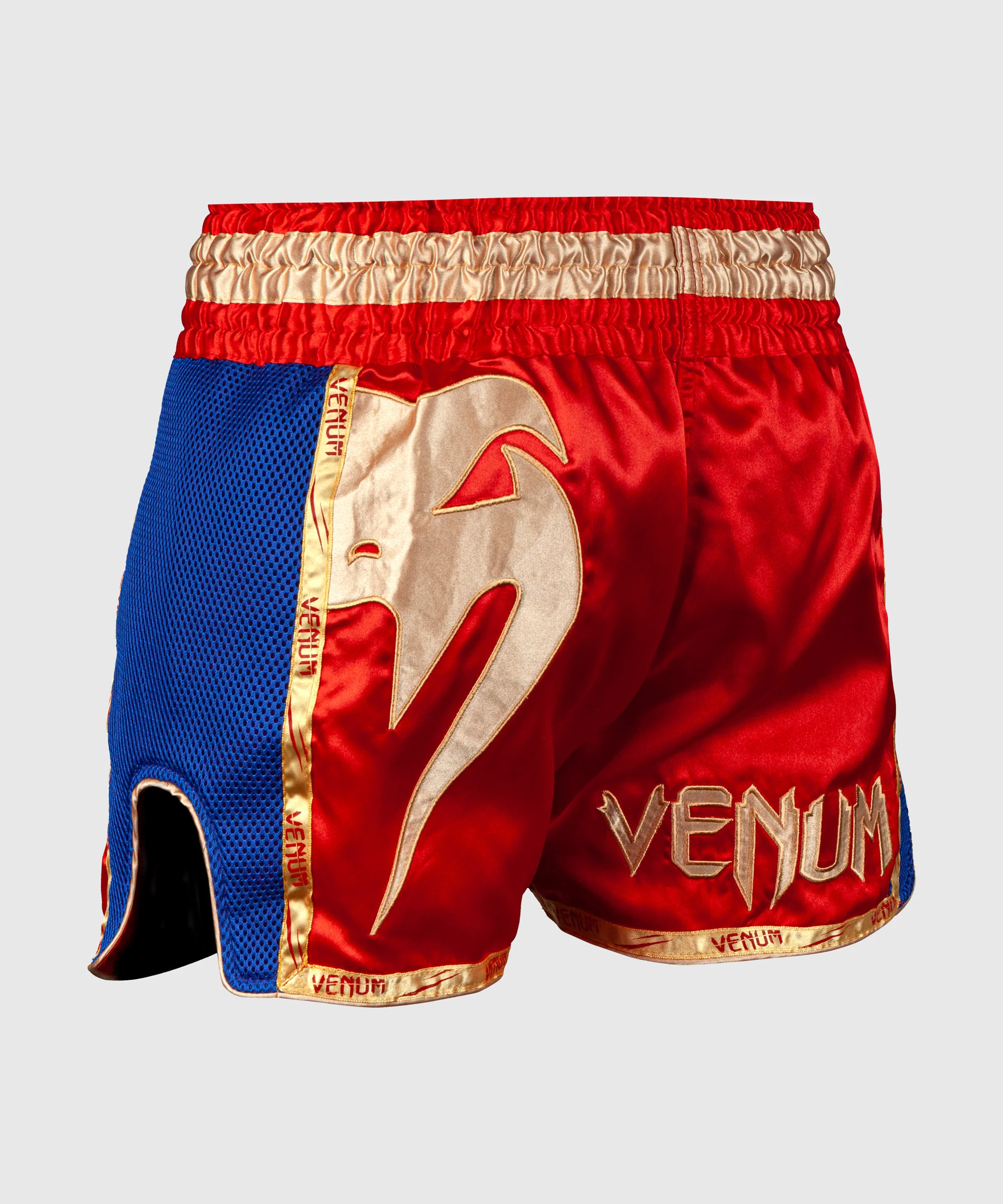 Pantalones Cortos de Muay Thai Venum Giant - Image 4