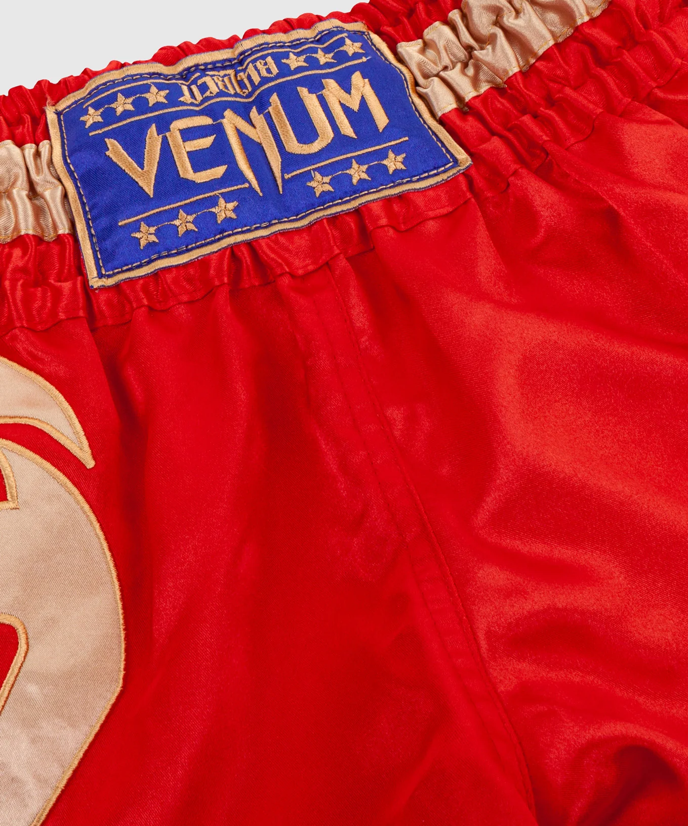 Pantalones Cortos de Muay Thai Venum Giant - Image 5