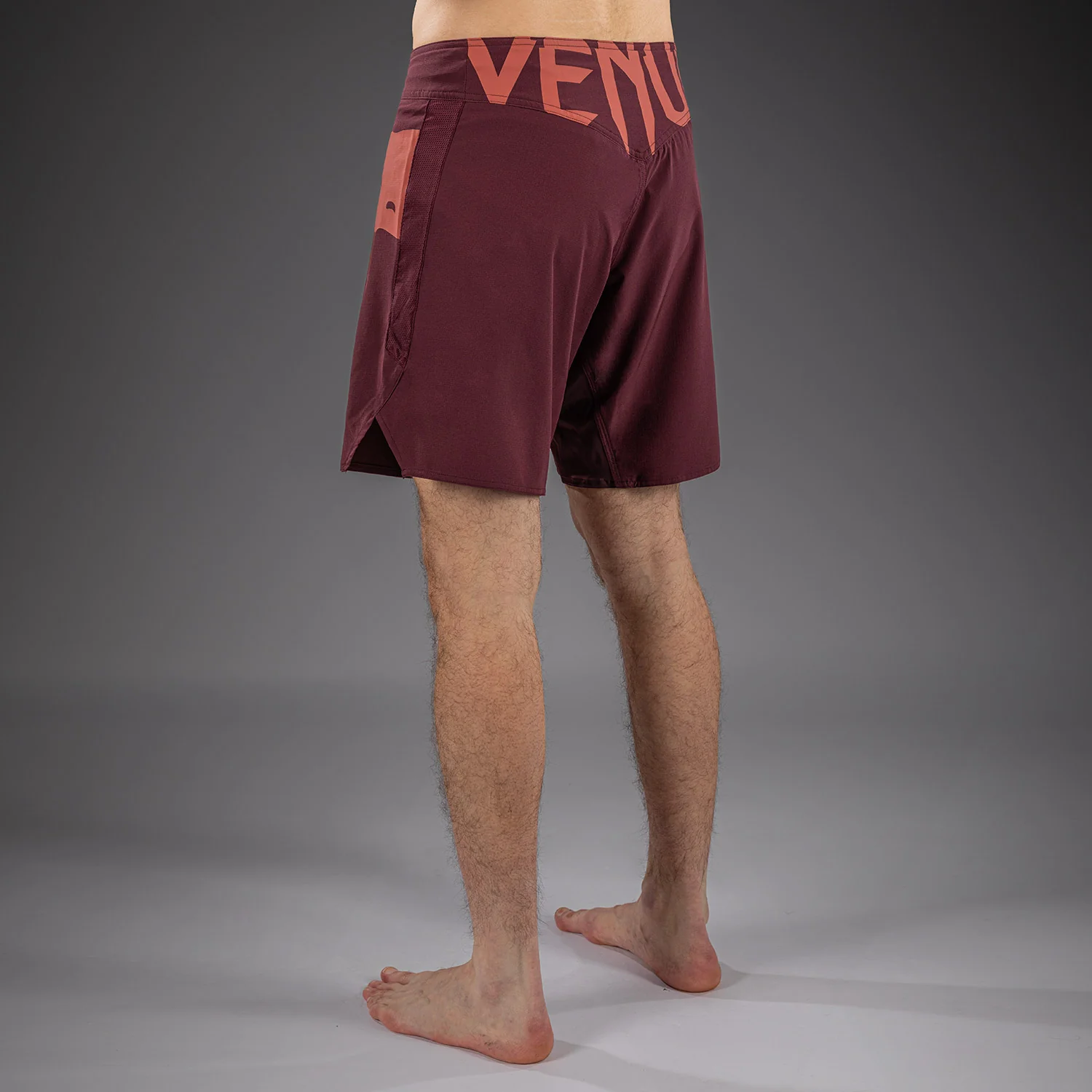 Venum Light 5.0 Fightshorts - Marrón oscuro/Terracota - Image 3