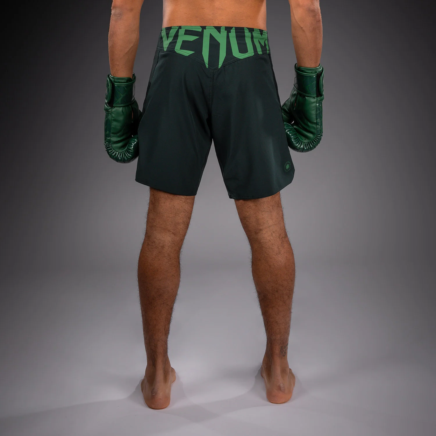 Venum Light 5.0 Fightshorts - Verde bosque/Verde claro - Image 3