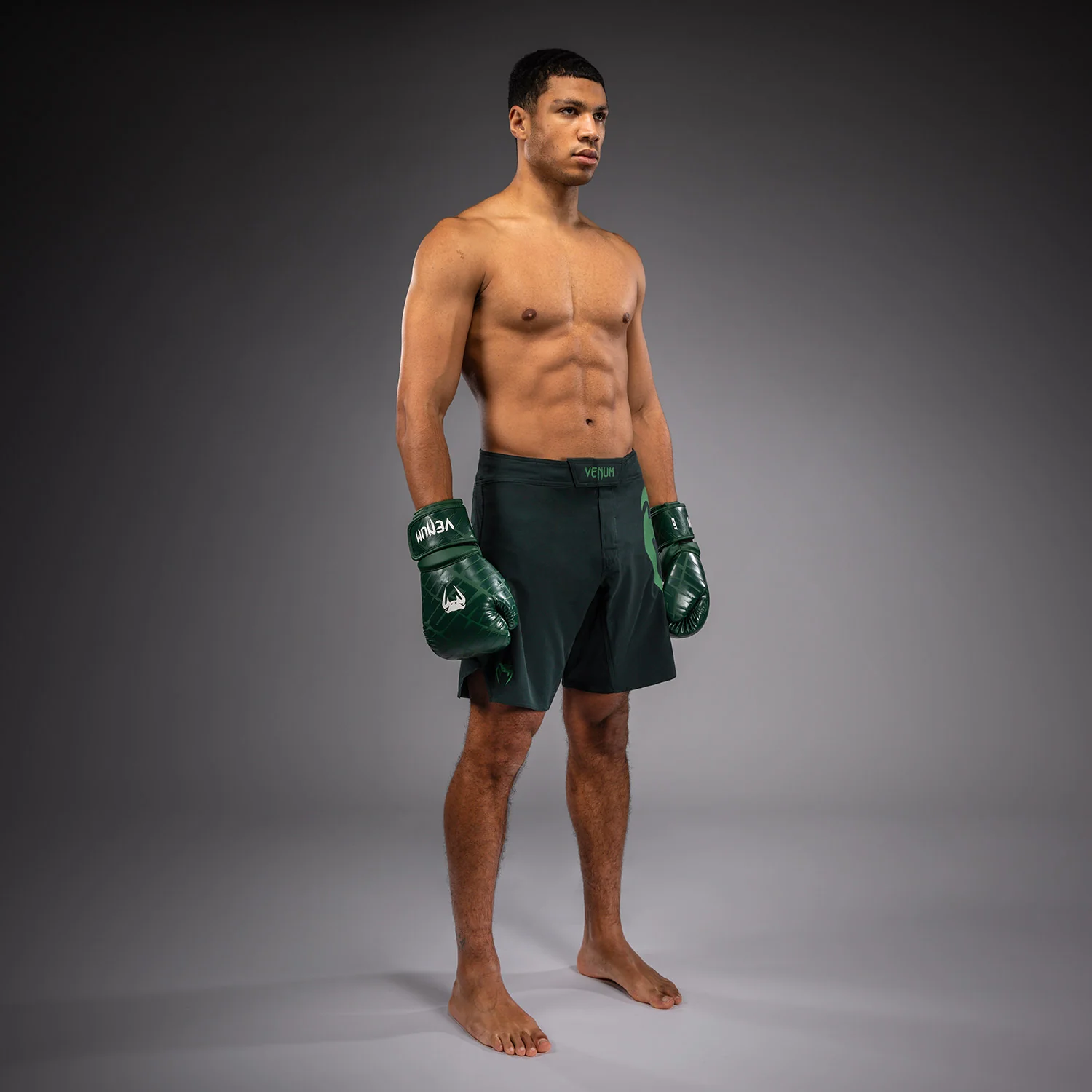 Venum Light 5.0 Fightshorts - Verde bosque/Verde claro - Image 5