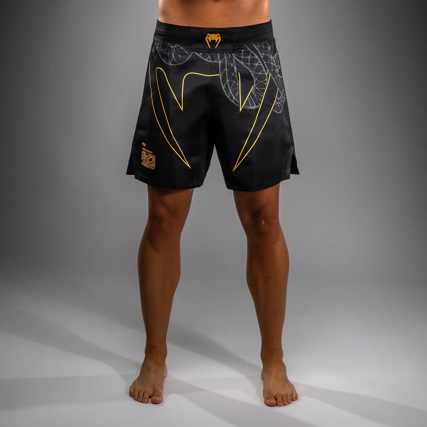 Venum Serpenti Pantalones Cortos de Lucha – Negro/Plata/Dorado - Image 4