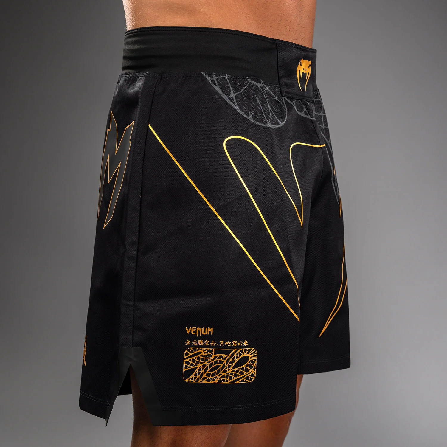 Venum Serpenti Pantalones Cortos de Lucha – Negro/Plata/Dorado - Image 7