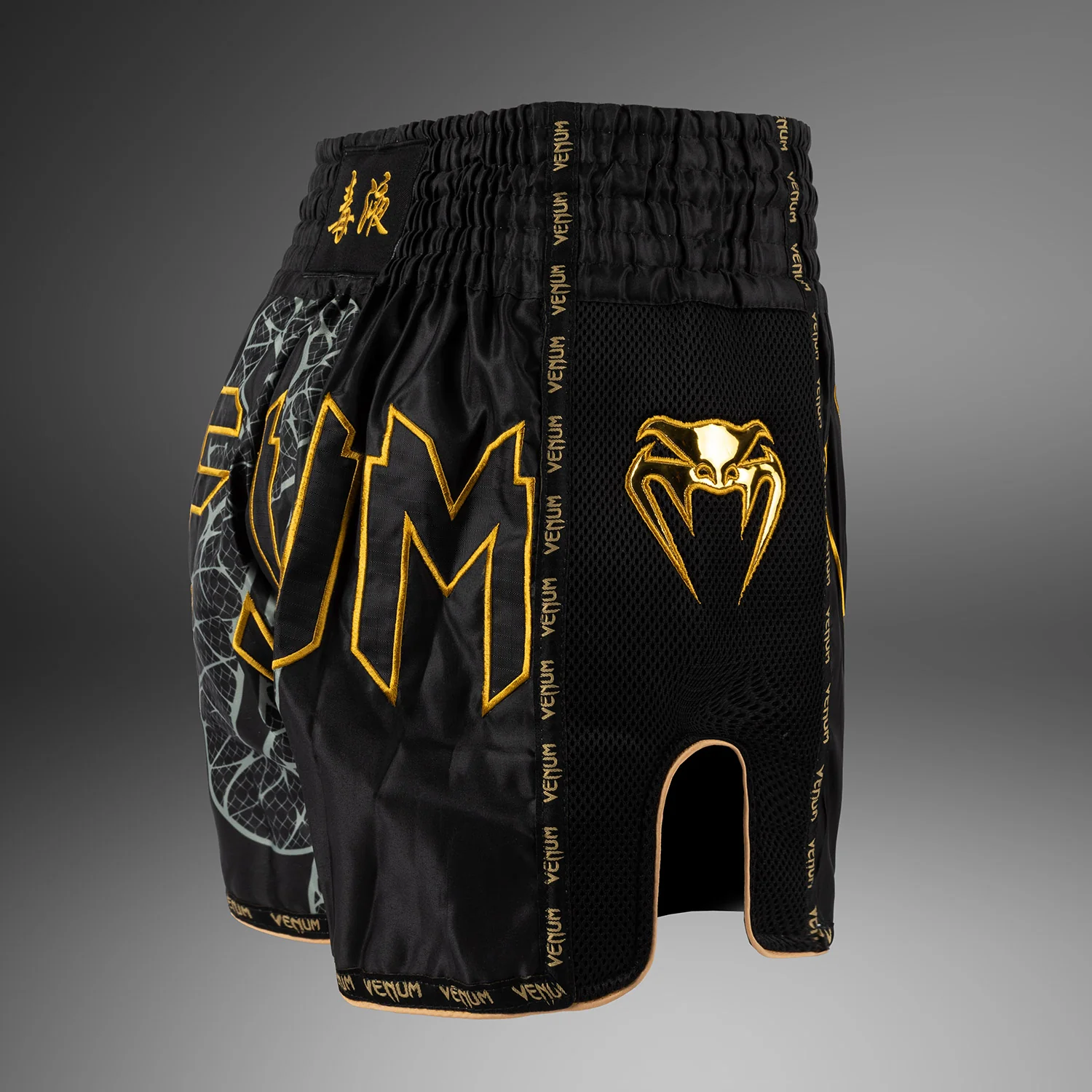 Venum Serpenti Pantalones Cortos Muay Thai – Negro/Plateado/Dorado - Image 4