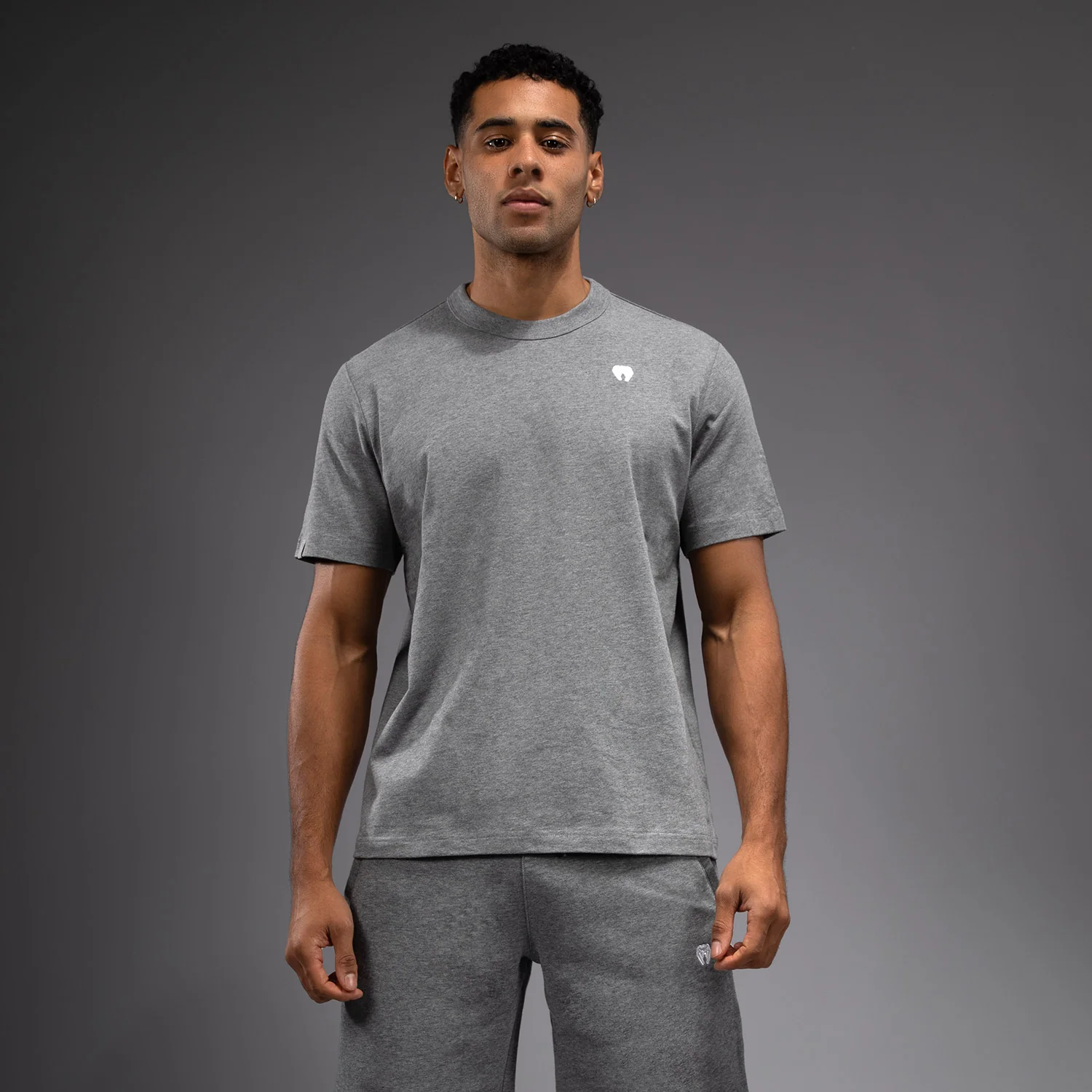Venum Silent Power Camiseta - Cloudy Grey
