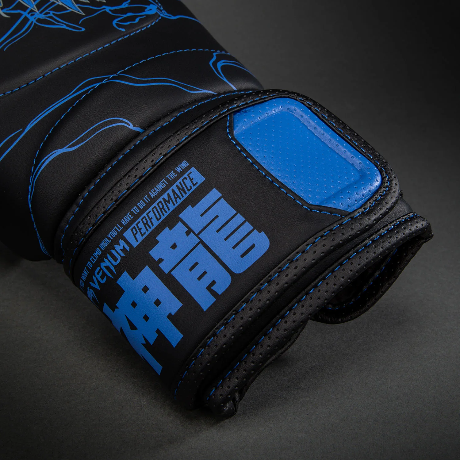 Venum Thunder Dragon Guantes de Boxeo – Negro/Azul Real - Image 3